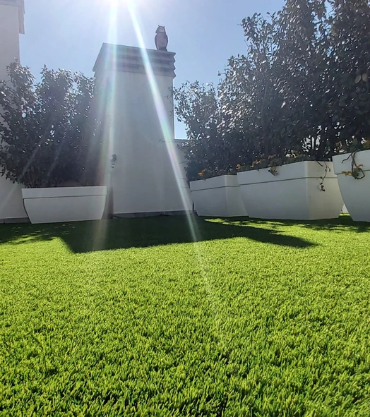 Césped artificial iluminado por el sol en un jardín con árboles